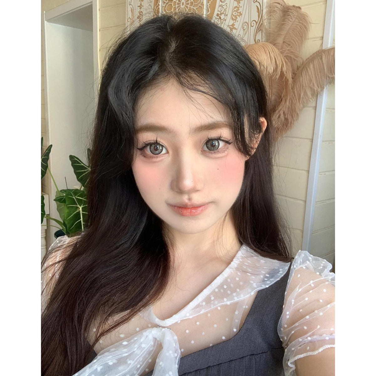 BJLSHE PORSLEN 14.50mm Grey Colored Contact Lenses (6 Months Wear)