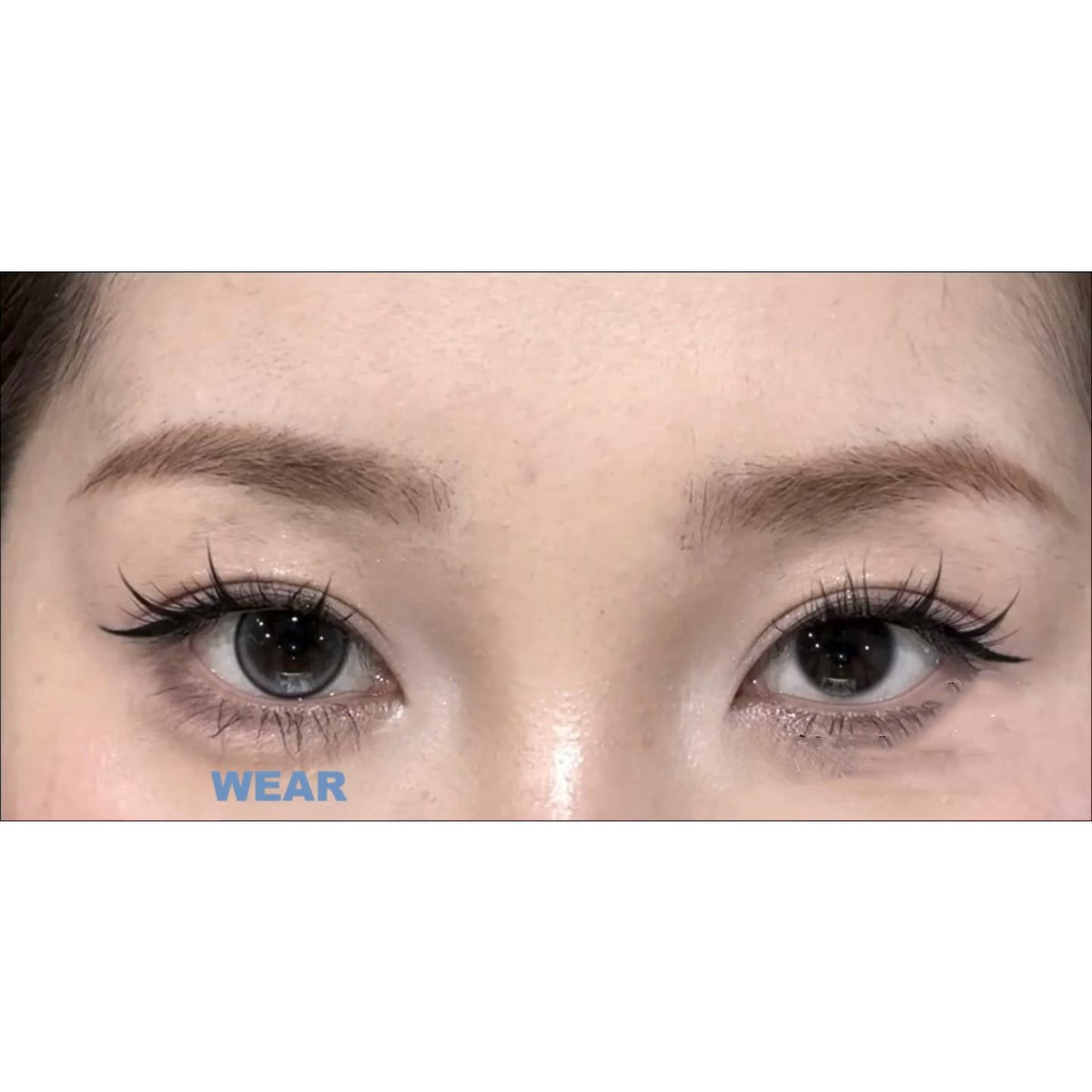 LJHUI FLLYCON 14.20mm Grey Colored Contact Lenses (6 Months Wear)