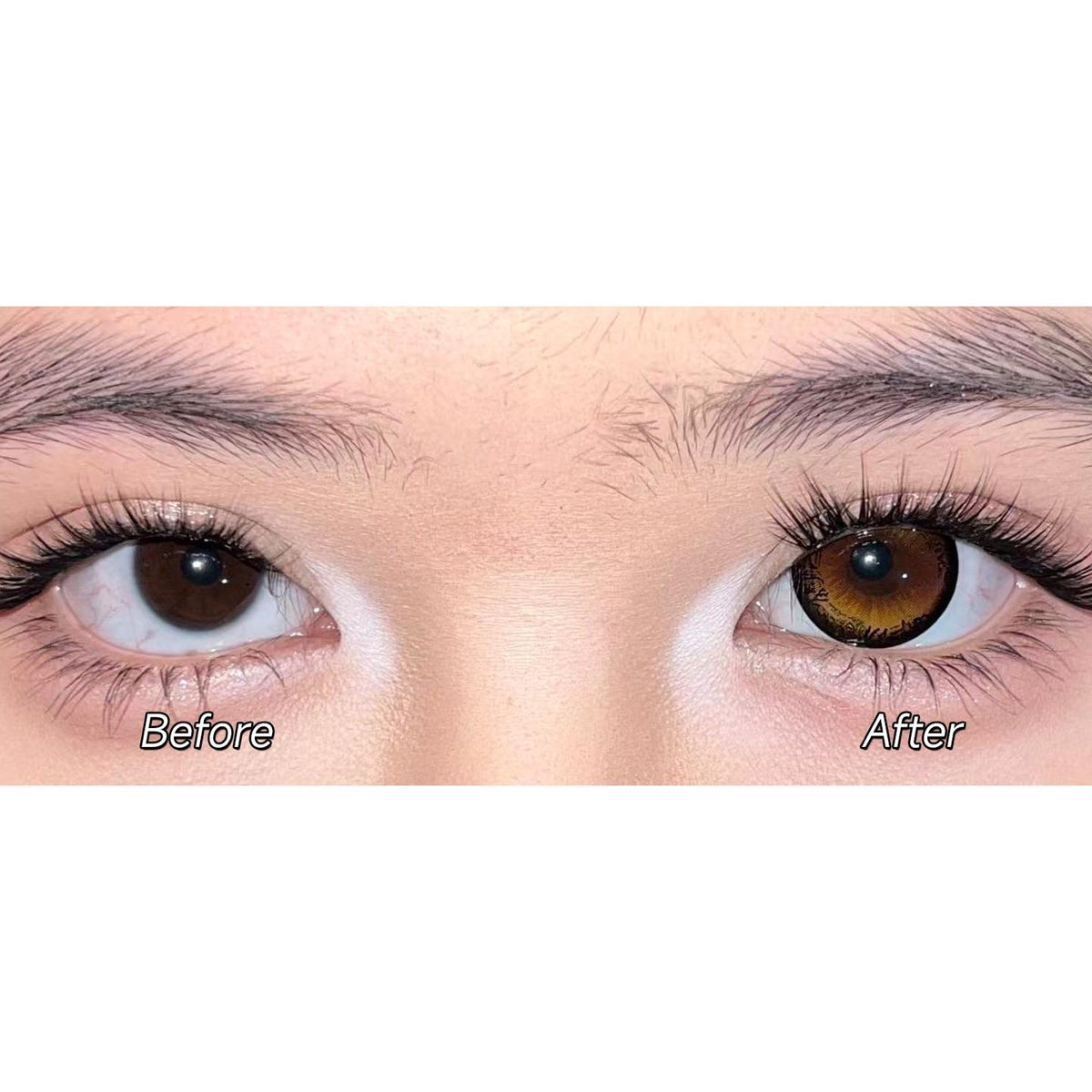 FMGUAN Serltyca 14.50mm Brown Colored Contact Lenses (6 Months Wear)