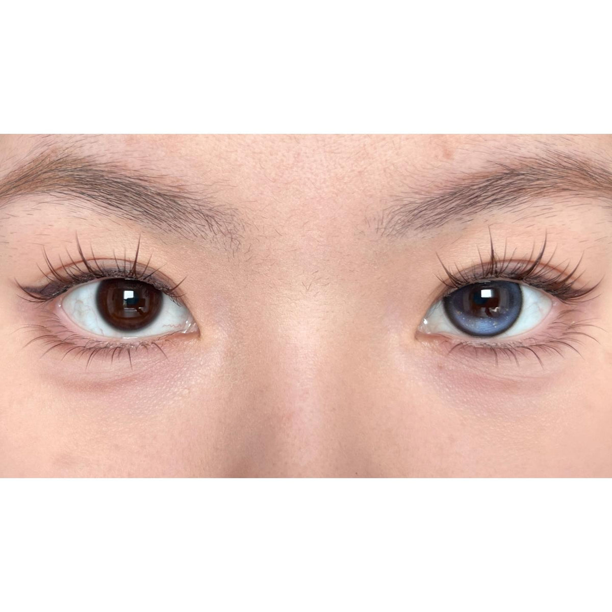DHZZHU thestarlens 14.50mm Blue Colored Contact Lenses (6 Months Wear)