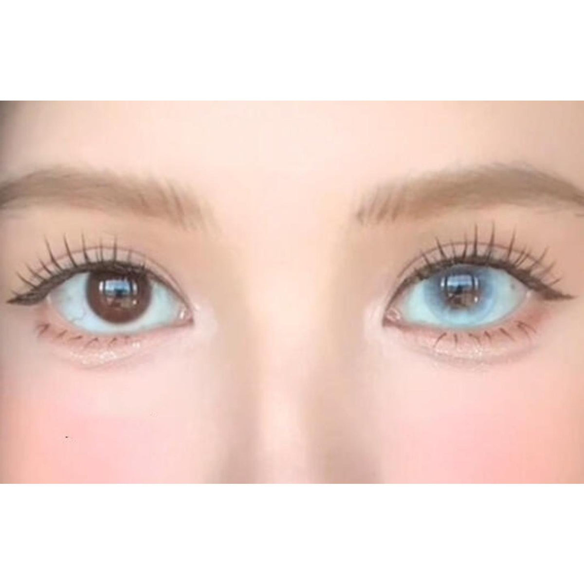 DXXZHU OBALEN 14.20mm Blue Colored Contact Lenses (6 Months Wear)