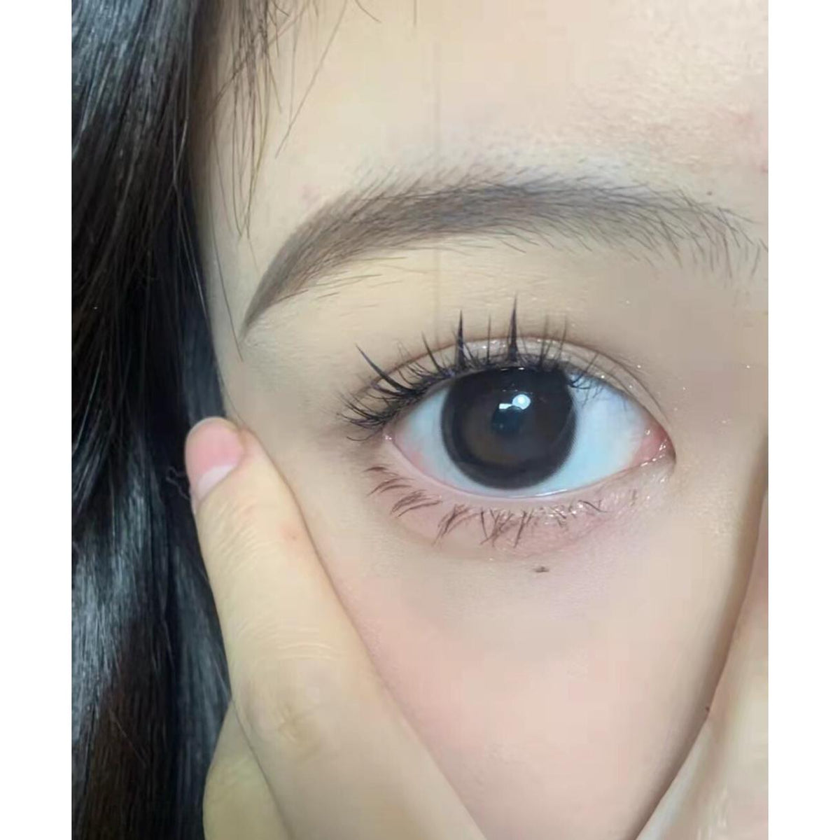 LSPPAO Xiyoulens 14.00mm Black Colored Contact Lenses (6 Months Wear)