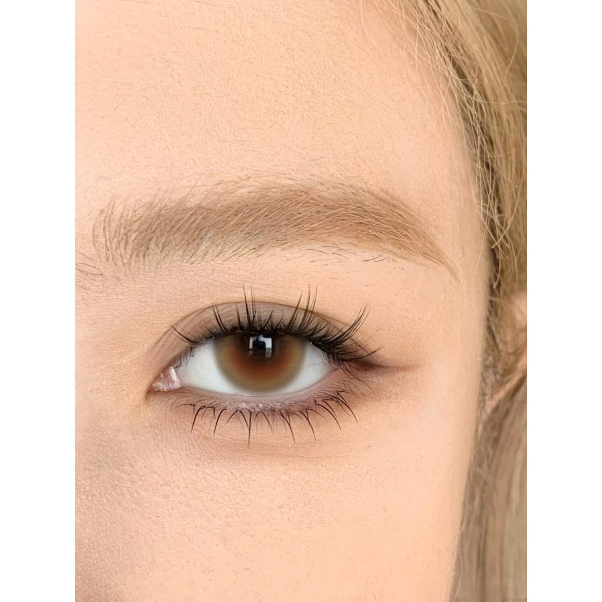 ZMZHE Tinacon 14.20mm Brown Colored Contact Lenses (6 Months Wear)