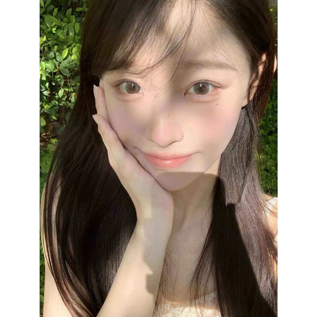 BHBNENG MorningCon 14.50mm Brown Colored Contact Lenses (6 Months Wear)