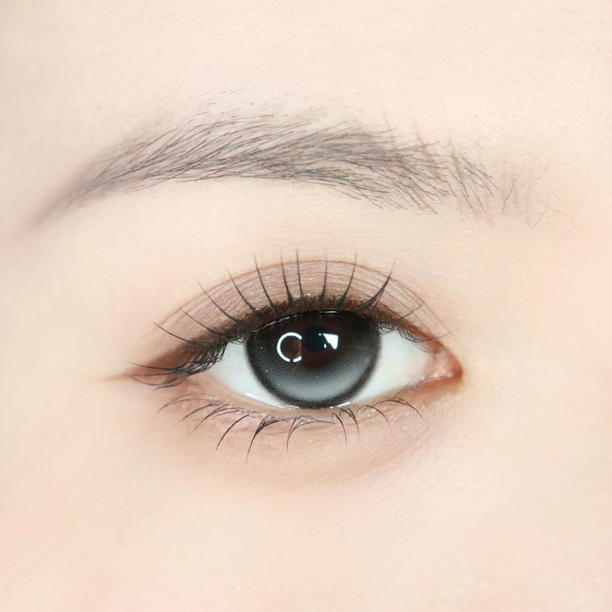 CDWBCQING OBALEN 14.50mm Gray Colored Contact Lenses (6 Months Wear)