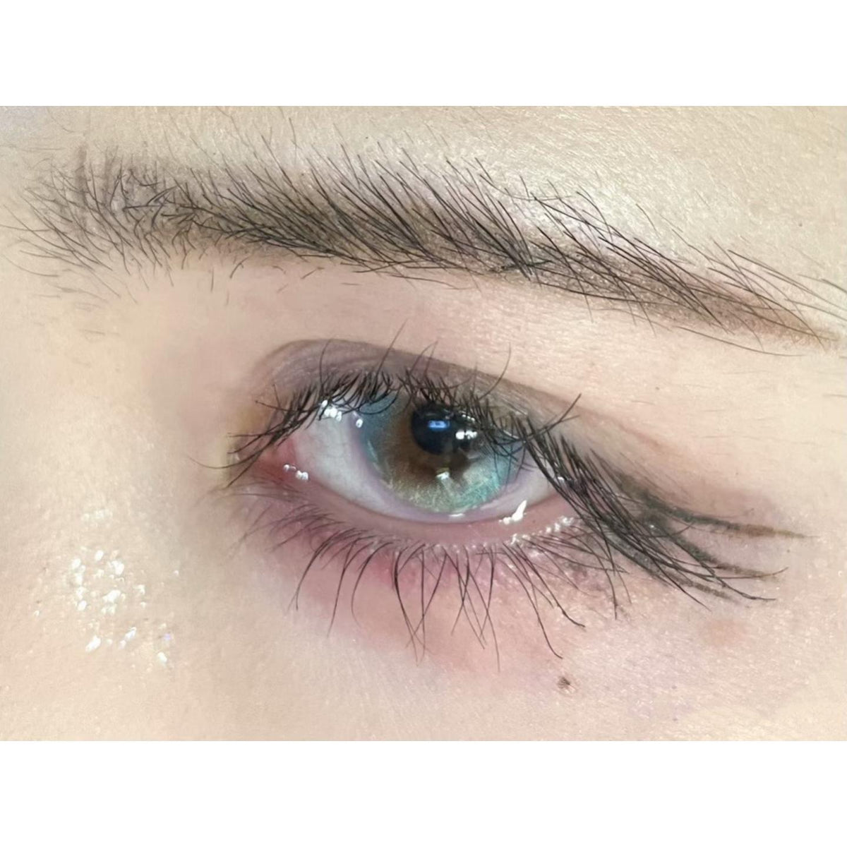YLYXI Xiyoulens 14.20mm Purple Colored Contact Lenses (6 Months Wear)
