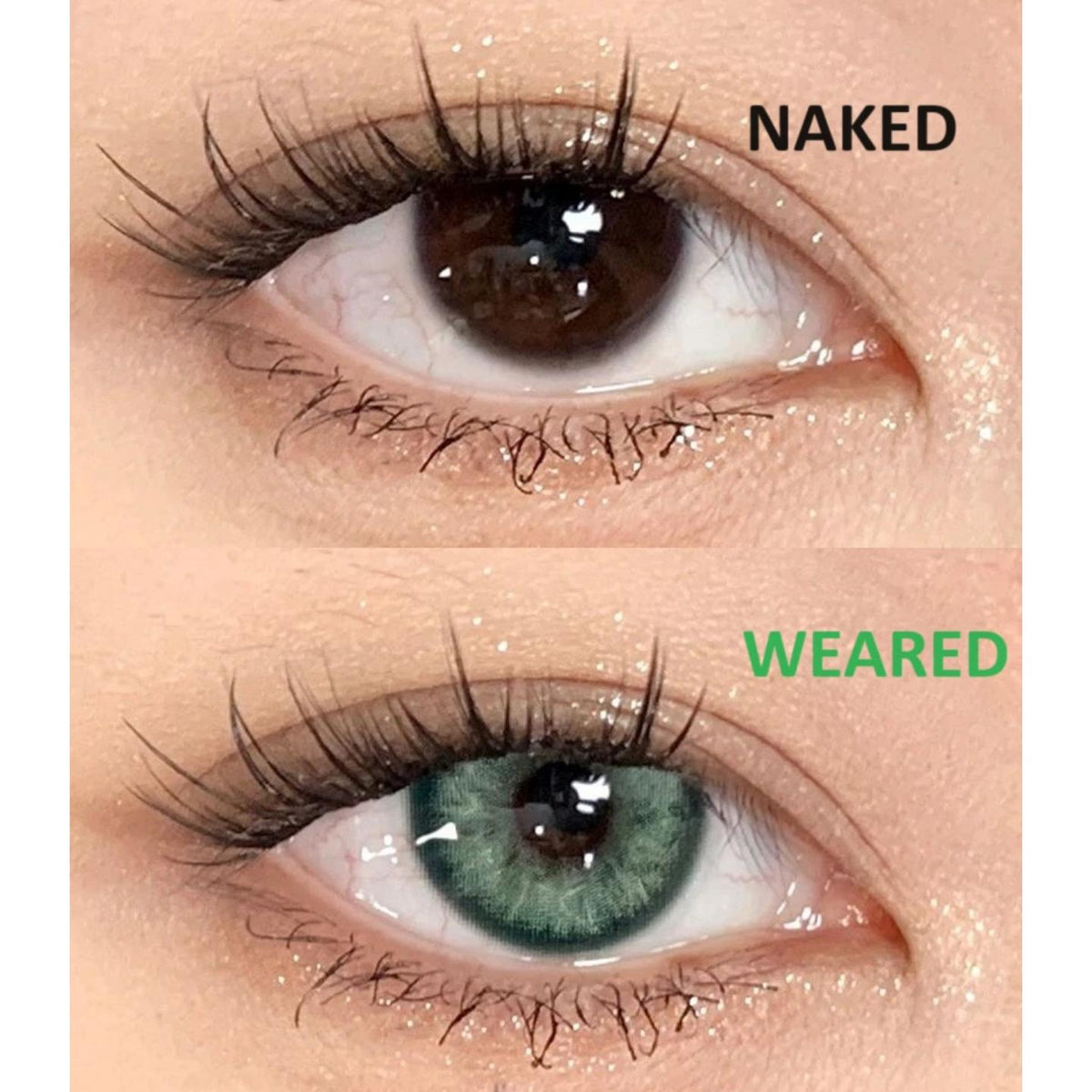 NJNSNV MorningCon 14.20mm Green Colored Contact Lenses (6 Months Wear)