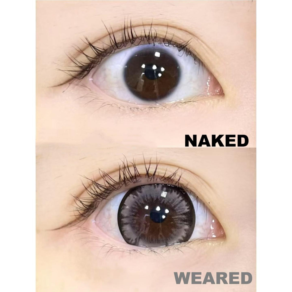 SJMSHU FLLYCON 14.50mm Grey Colored Contact Lenses (6 Months Wear)