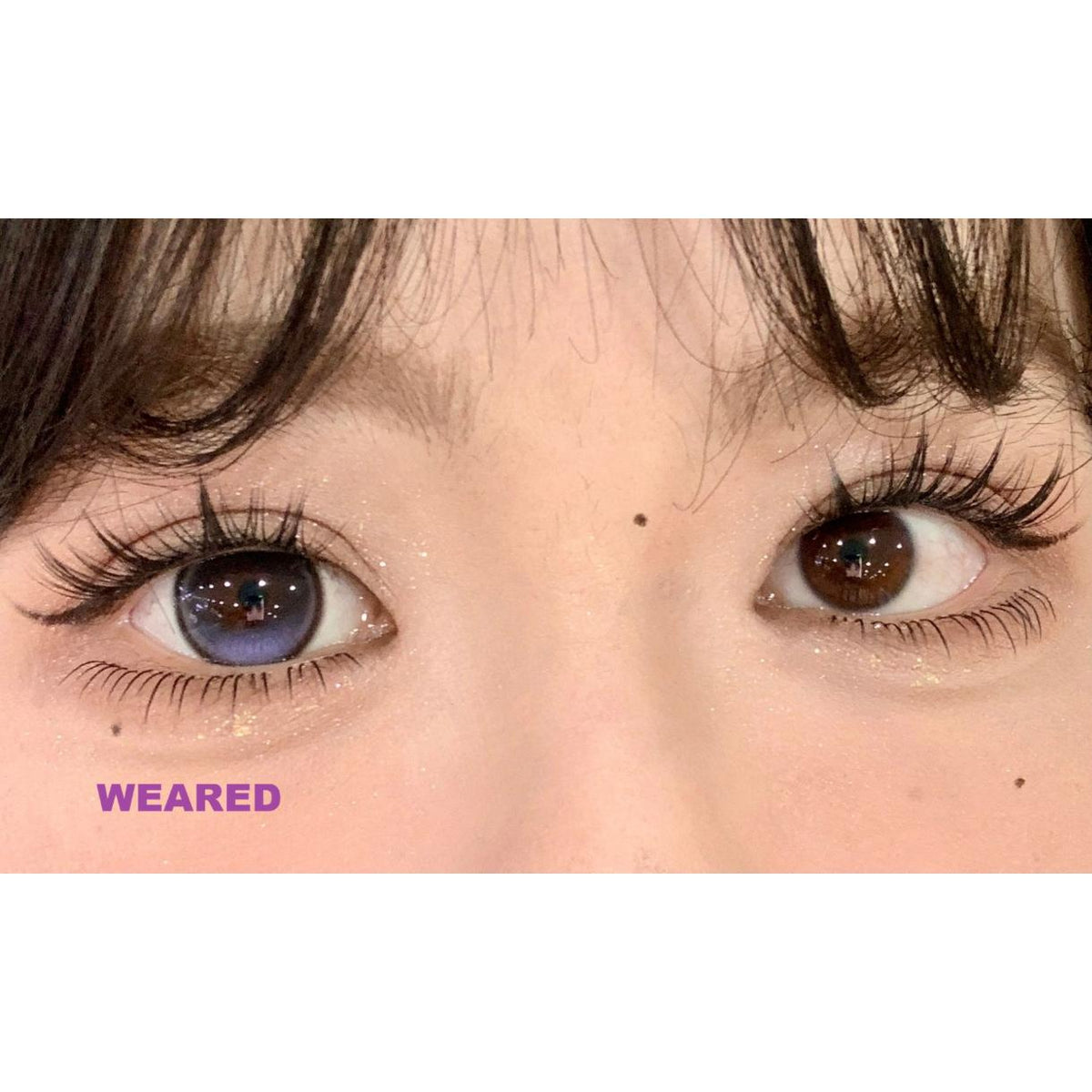 YLSLIAN Tinacon 14.50mm Purple Colored Contact Lenses (6 Months Wear)