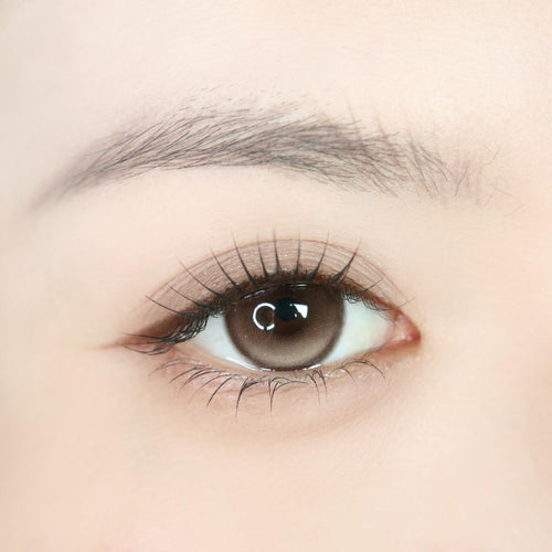 CDTSWROU OBALEN 14.50mm Brown Colored Contact Lenses (6 Months Wear)