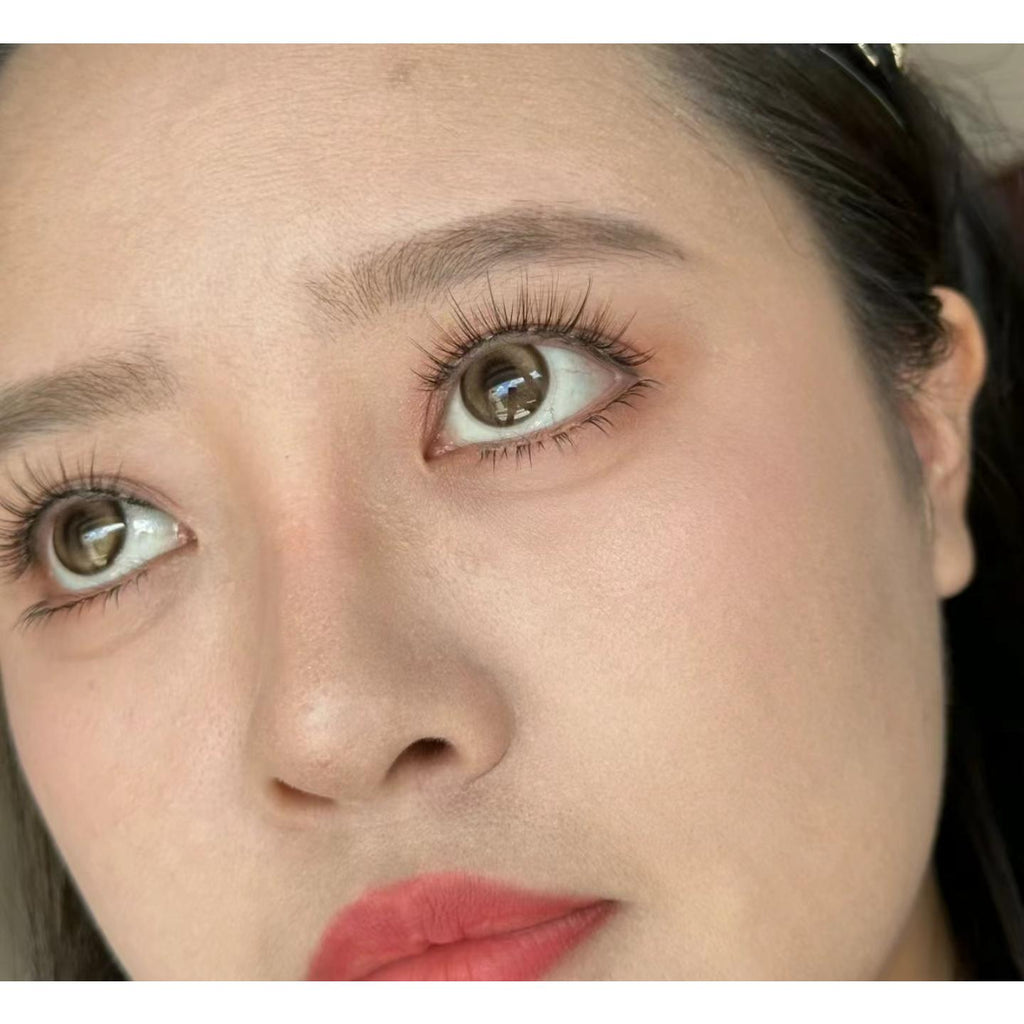 SHLA FLLYCON 14.20mm Brown Colored Contact Lenses (6 Months Wear)