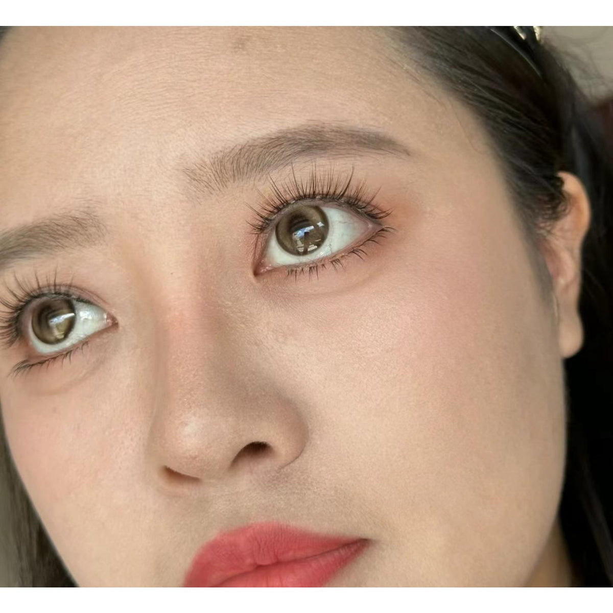 SHLA FLLYCON 14.20mm Brown Colored Contact Lenses (6 Months Wear)