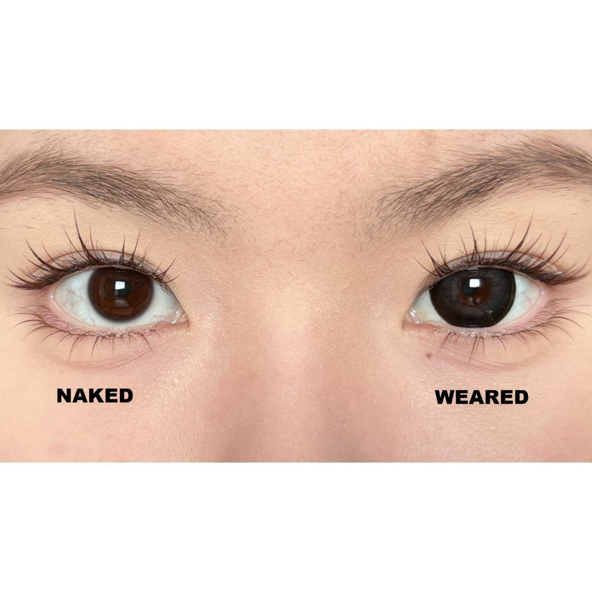 Kính áp tròng màu đen HTHMEI thestarlens 14.50mm (thời hạn sử dụng 6 tháng)