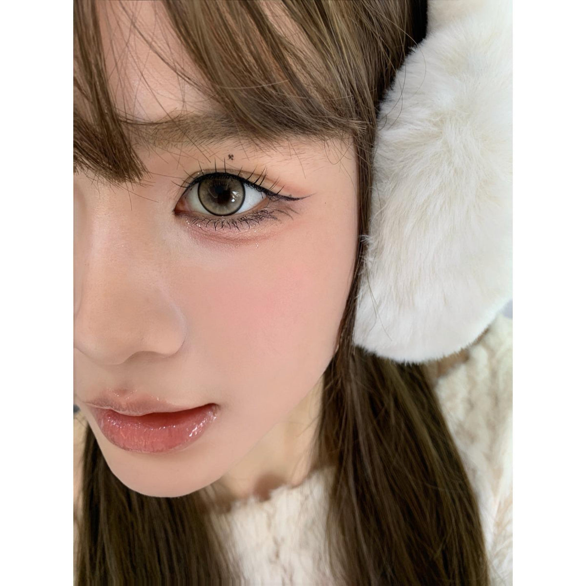 DGZONG Serltyca 14.50mm Brown Colored Contact Lenses (6 Months Wear)