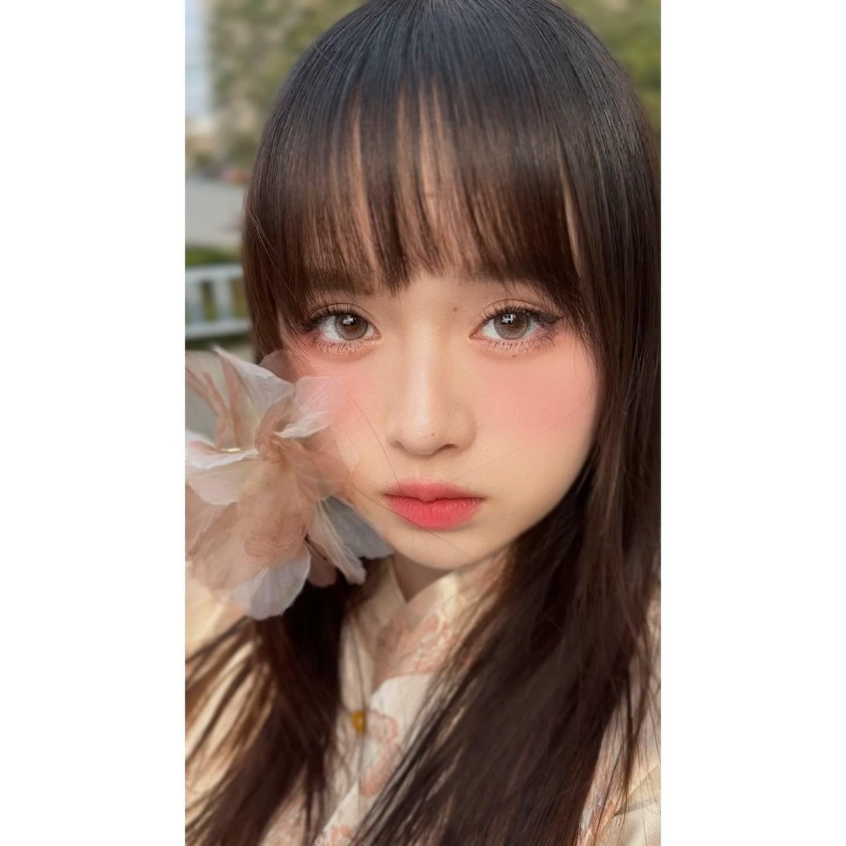 JMQJIN thestarlens 14.20mm Grey Colored Contact Lenses (6 Months Wear)