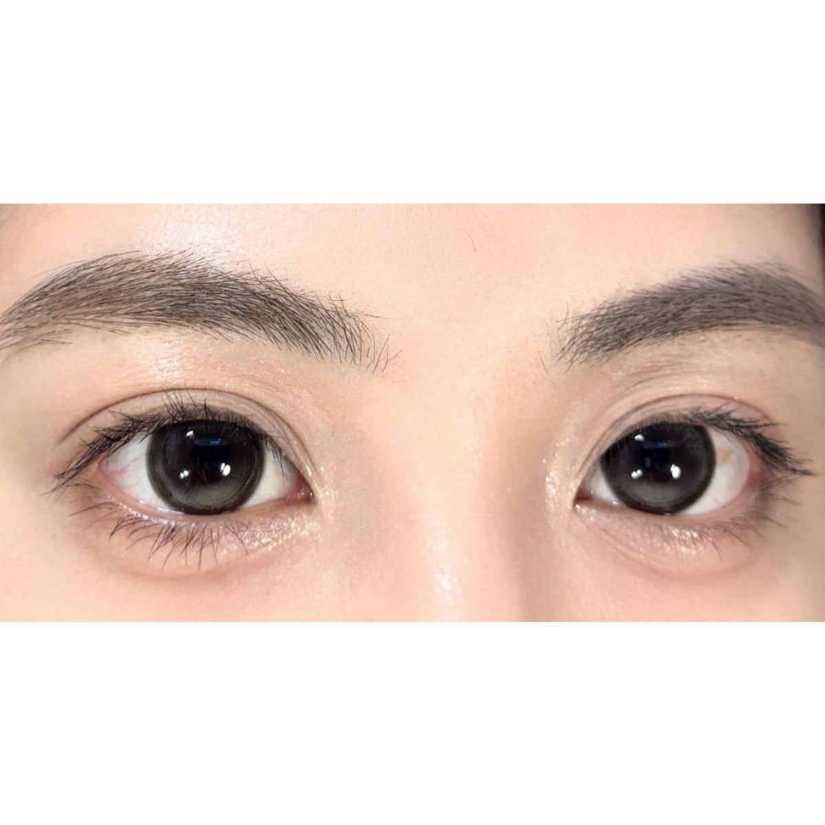 DXZLI Tinacon 14.50mm Black Colored Contact Lenses (6 Months Wear)