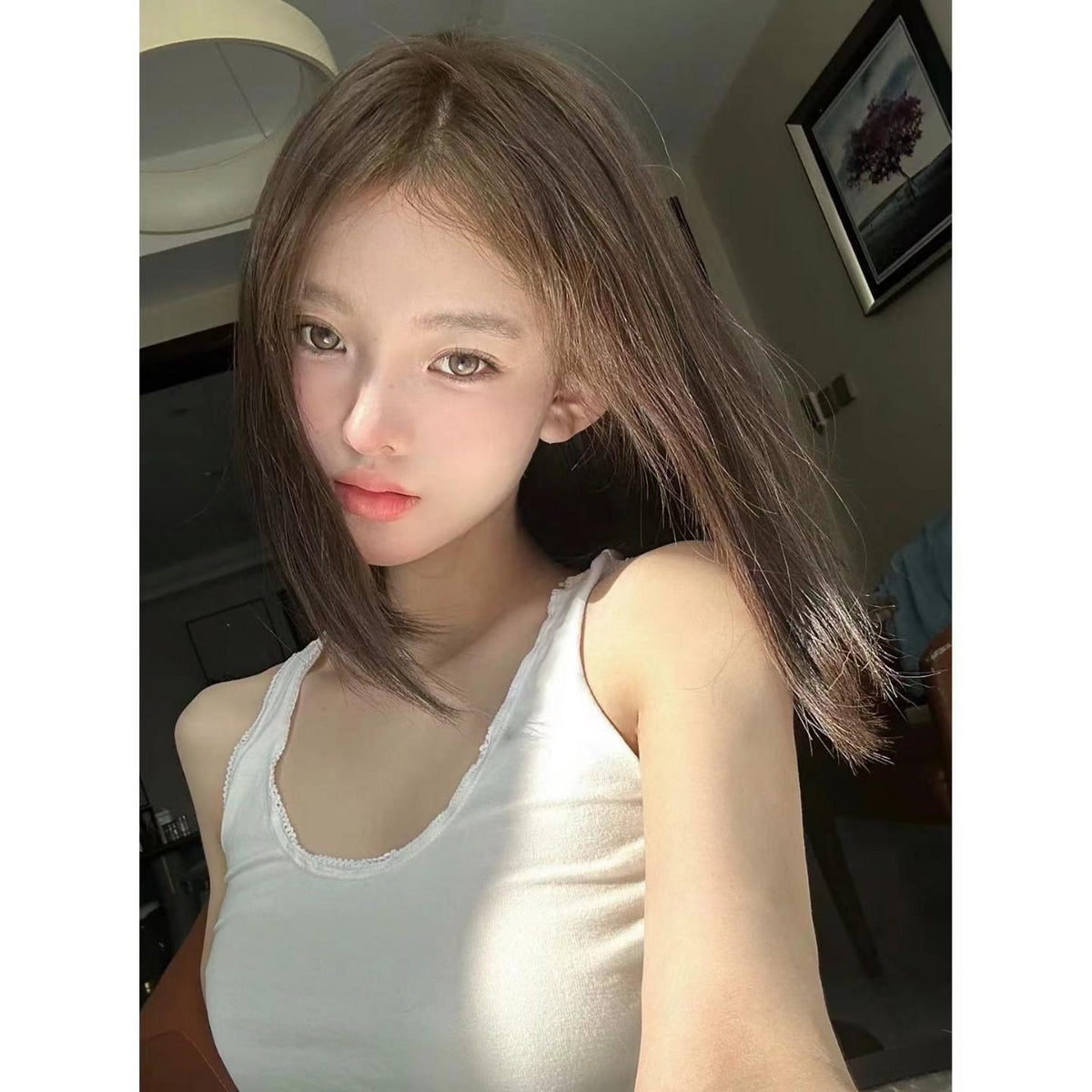 SHLA FLLYCON 14.20mm Brown Colored Contact Lenses (6 Months Wear)