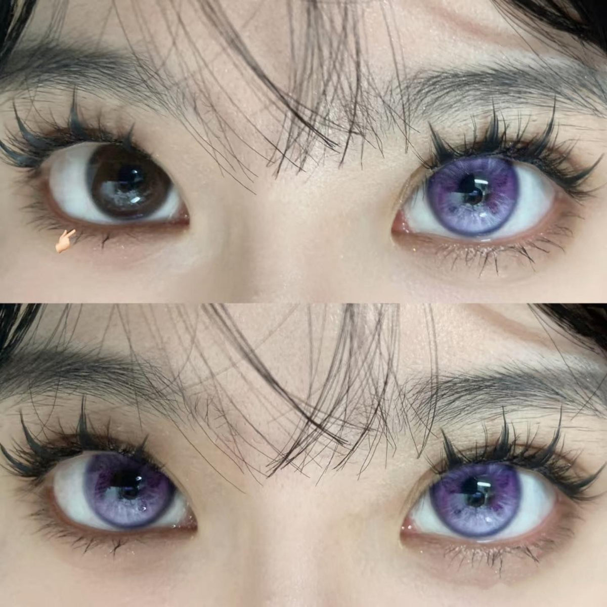 LJHDIE Xiyoulens 14.50mm Purple Colored Contact Lenses (6 Months Wear)