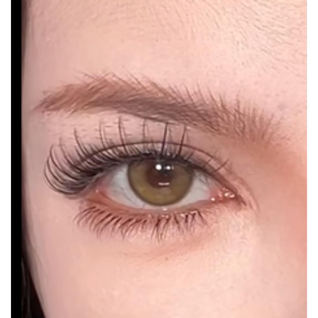 NMQSHUI Serltyca 14.20mm Brown Colored Contact Lenses (6 Months Wear)
